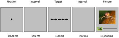 The link between emotion regulation and size estimation of <mark class="highlighted">spiders</mark> pictures among women with fear of <mark class="highlighted">spiders</mark>